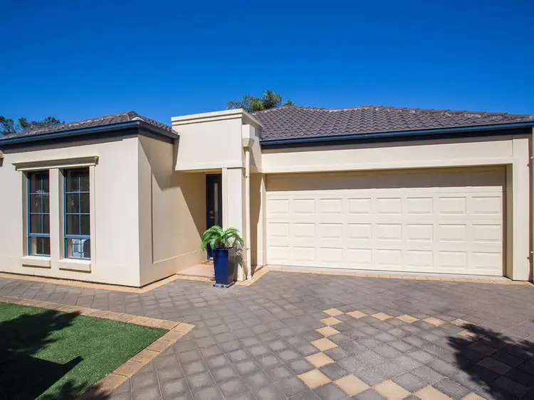 36 Selby Street, Kurralta Park SA 5037