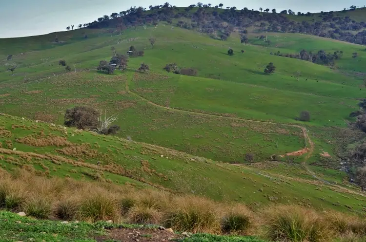 Second view of Homely rural property listing, Jurys - Packers Road, Bethanga VIC 3691