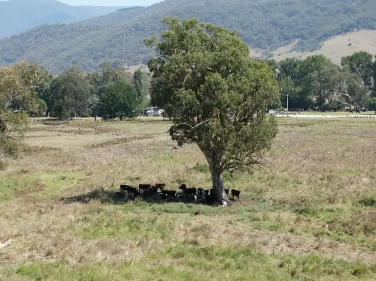 Fifth view of Homely rural property listing, . Cudgewa Valley Road, Cudgewa VIC 3705