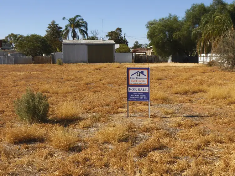 Lot 1 & 2 Warren Street, Nyngan NSW 2825