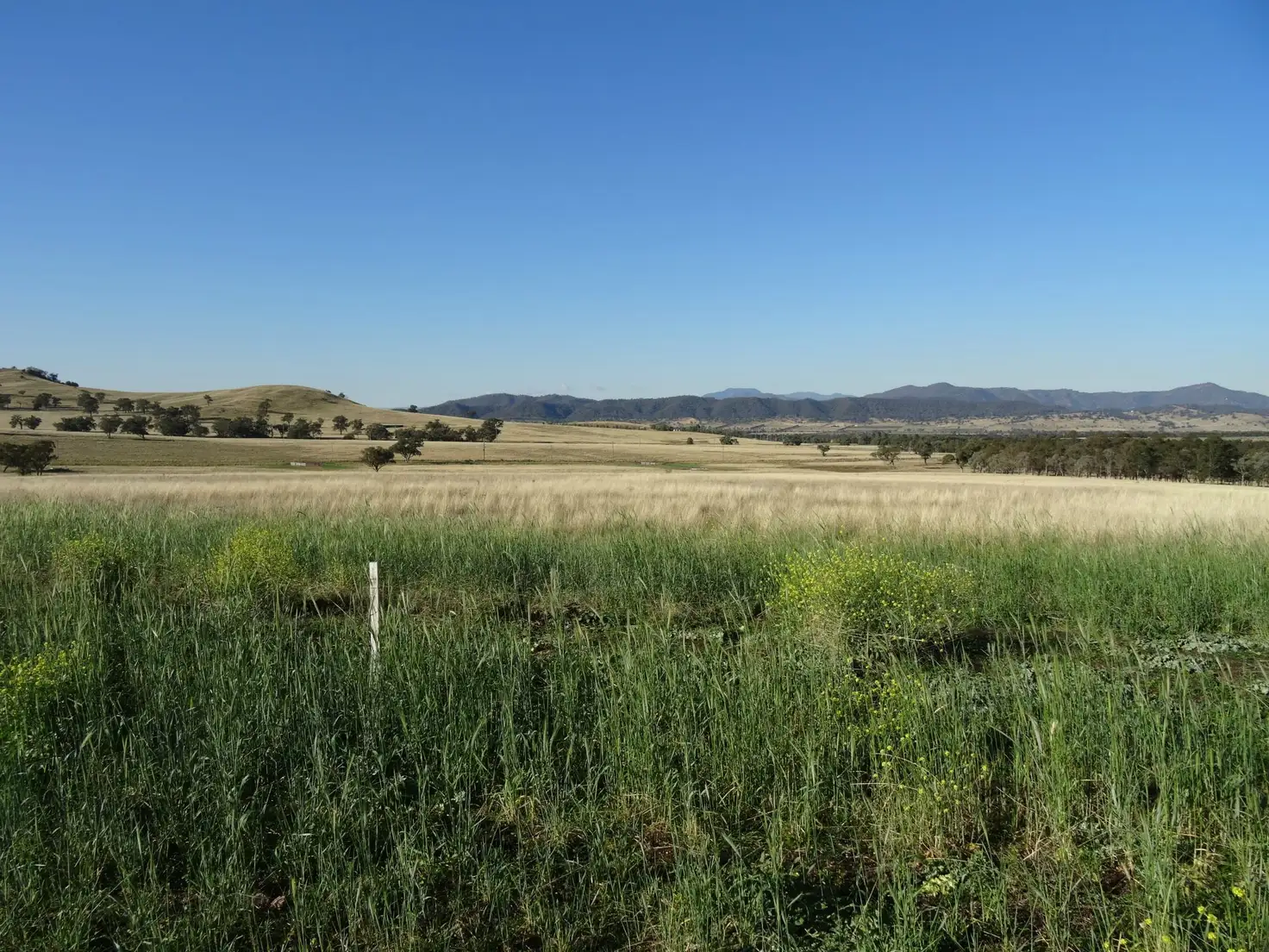 Main view of Homely land listing, LOT 2, 4 Bakewell Circuit, Scone NSW 2337