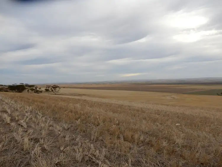 Third view of Homely rural property listing, * Atkinson Road, Snowtown SA 5520