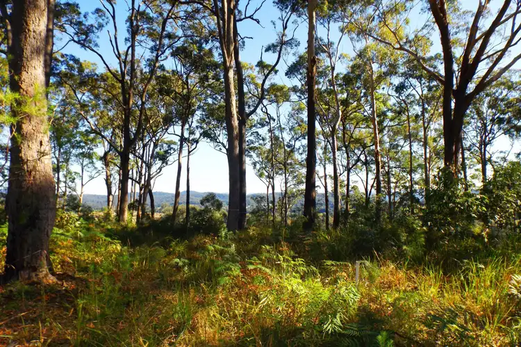 Second view of Homely land listing, L50 Glider Spur, Kew NSW 2439