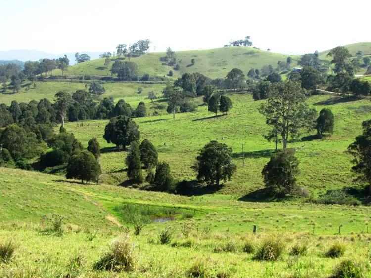 Seventh view of Homely rural property listing, 730 Bunyah Road, Bunyah NSW 2429