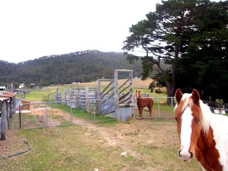 Third view of Homely rural property listing, 398 New Buildings Road, Wyndham NSW 2550