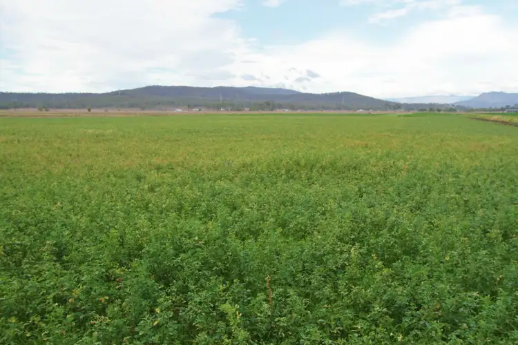 Third view of Homely rural property listing, Address available on request