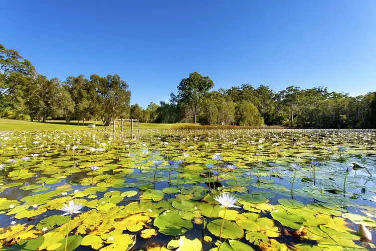 Sixth view of Homely house listing, 82 Lake Russell Drive, Emerald Beach NSW 2456