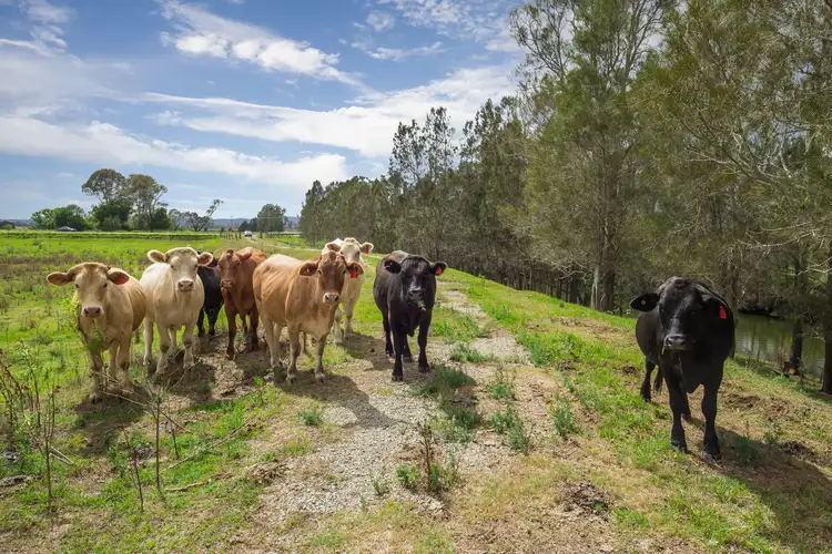 Second view of Homely rural property listing, 1775 Pacific Highway, Ulmarra NSW 2462