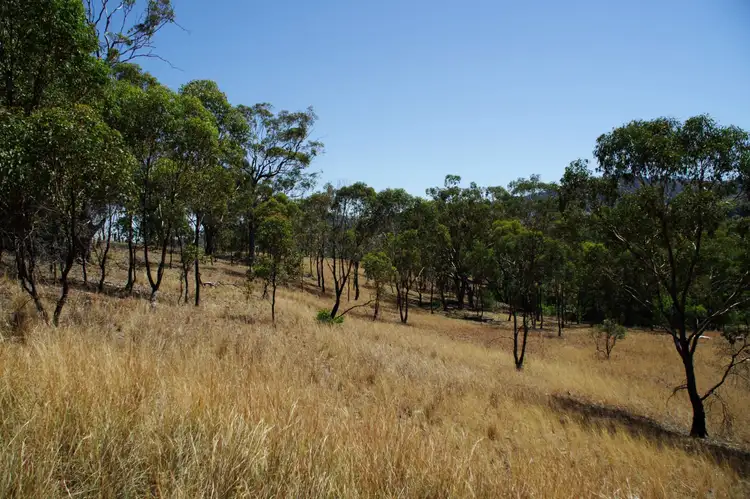 Third view of Homely rural property listing, 7729 New England Highway, Willow Tree NSW 2339