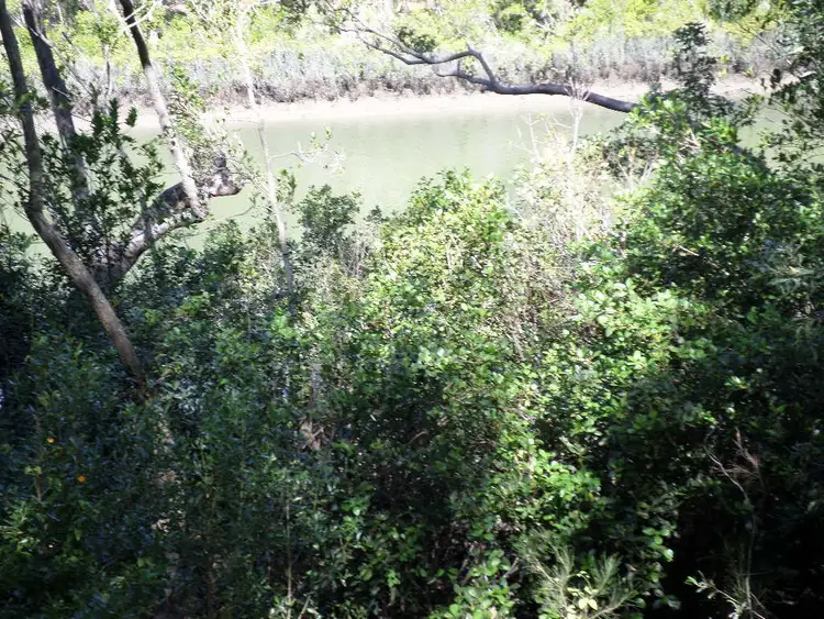 Fifth view of Homely land listing, 1596 Buxton Road, Buxton QLD 4660