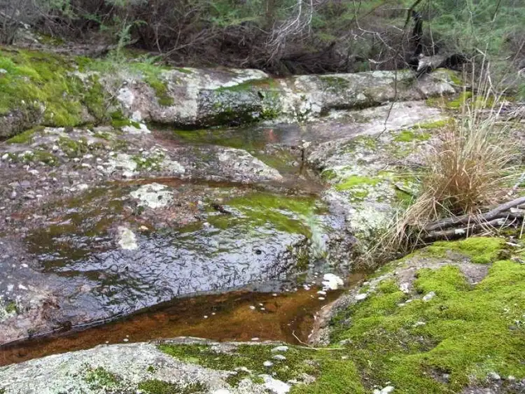 Fifth view of Homely rural property listing, L963 Mt Darragh Road, Lochiel NSW 2549