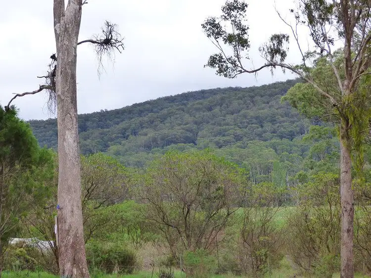 Third view of Homely land listing, 38 Nangutta Street, Towamba NSW 2550