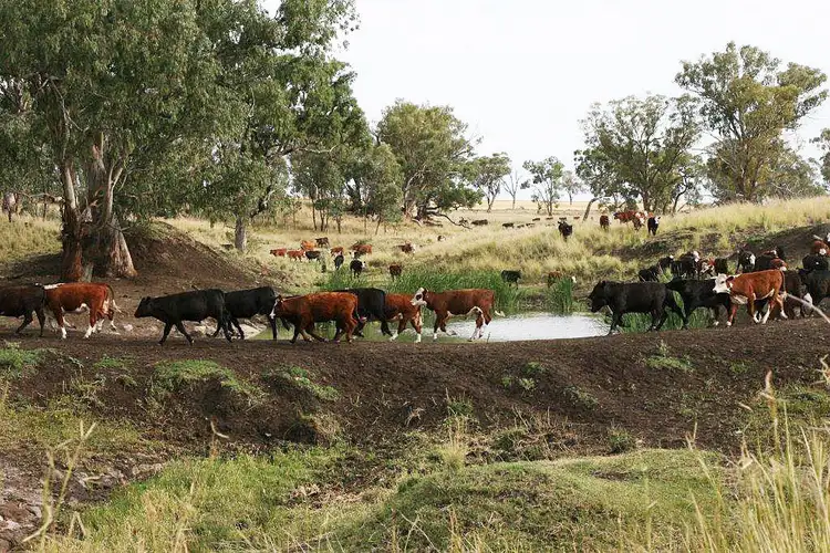 Sixth view of Homely rural property listing, Address available on request