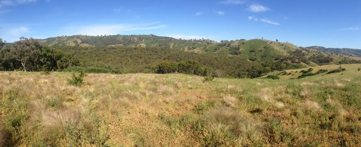 Main view of Homely rural property listing, 117/Lot 117/755790 Red Hill Road, Running Stream NSW 2850
