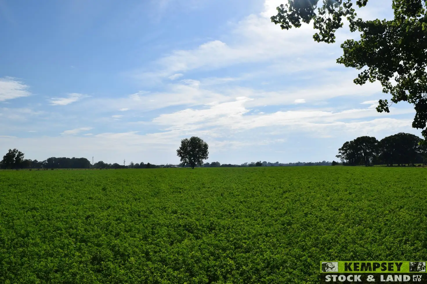 Main view of Homely rural property listing, L1 Euroka Road, Euroka NSW 2440