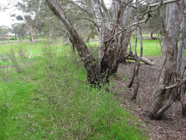 Seventh view of Homely house listing, 77 Boort-Wedderburn Road, Wedderburn VIC 3518