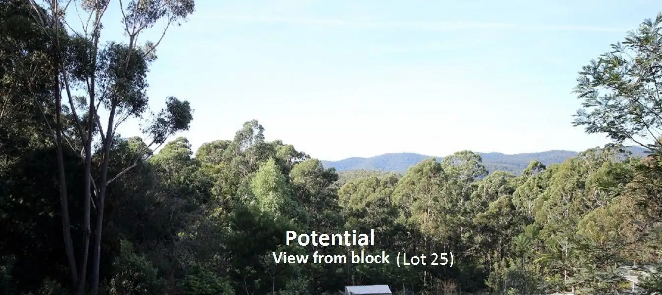 Main view of Homely rural property listing, L25 Kiaka Road, Nethercote NSW 2549