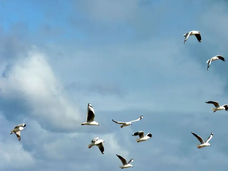 Second view of Homely rural property listing, Address available on request