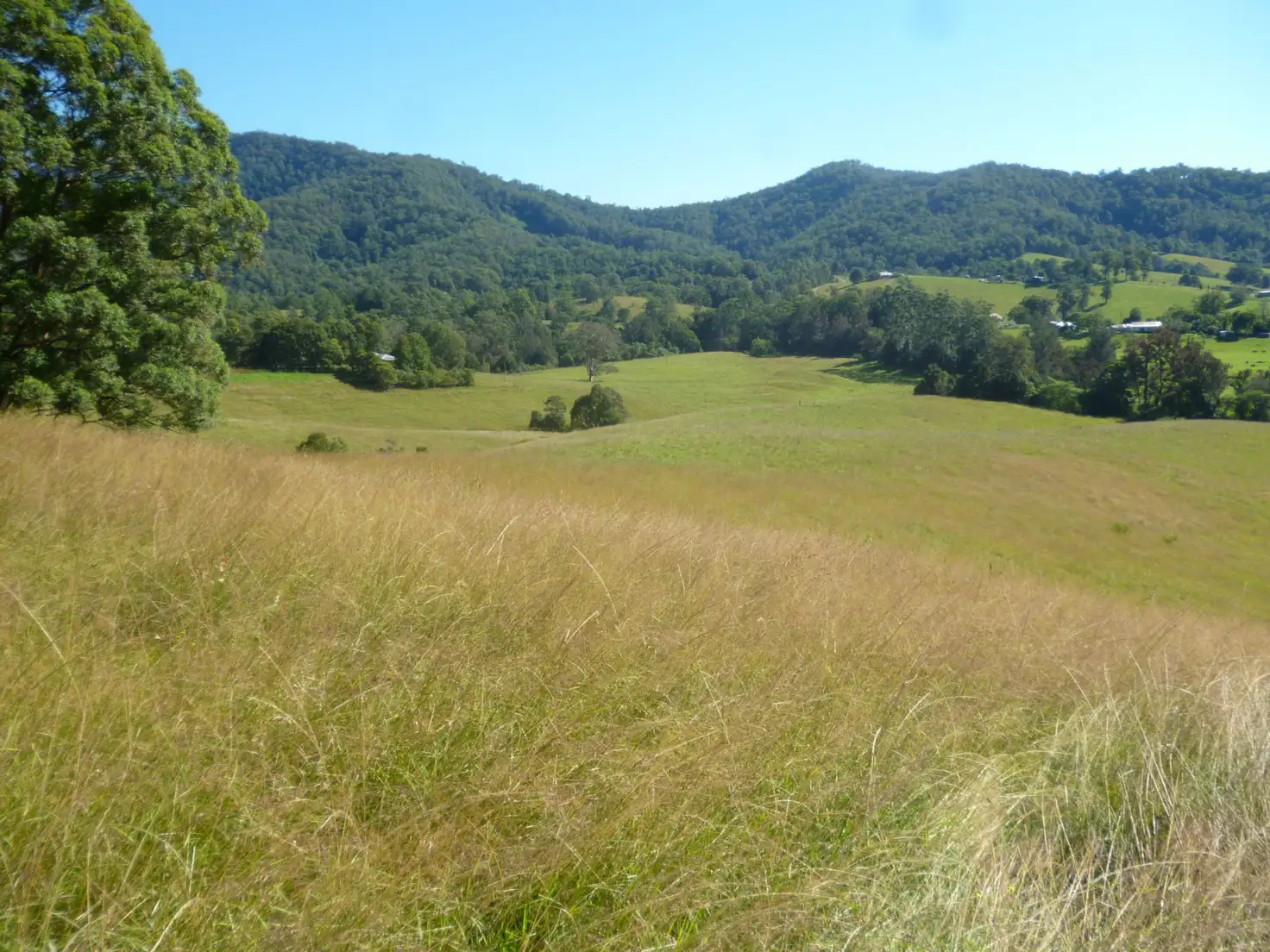 Main view of Homely rural property listing, 1069 South Arm Road, South Arm NSW 2449