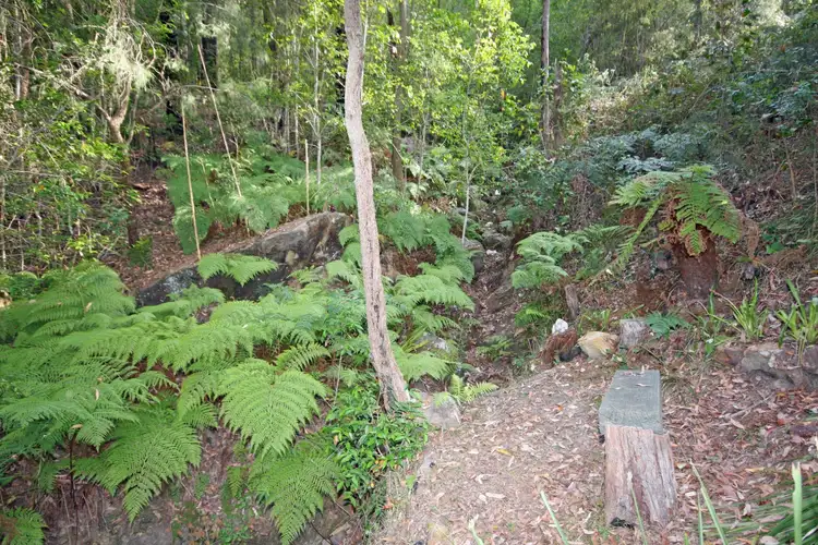 Sixth view of Homely house listing, 4168 Wisemans Ferry Road, Spencer NSW 2775