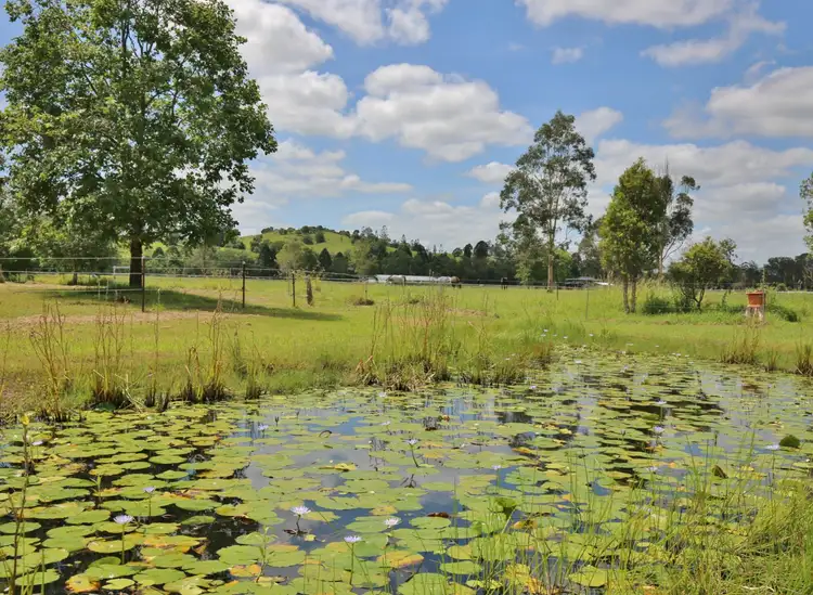 Seventh view of Homely rural property listing, 13 Samantha Drive, Pie Creek QLD 4570