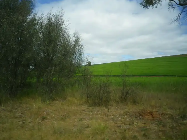 Fourth view of Homely rural property listing, 214 Watts Range Road, Gulnare SA 5471