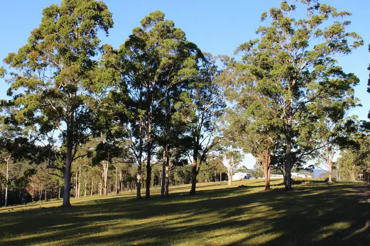 Third view of Homely rural property listing, LOT 22 Upper Avon Road, Gloucester NSW 2422