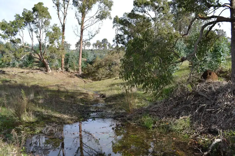 Sixth view of Homely rural property listing, L1 Donnybrook-Boyup Brook Road, Mumballup WA 6225