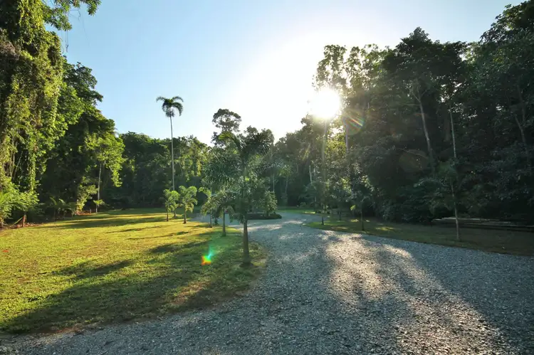 Fifth view of Homely land listing, 116 Hickory Road, Cow Bay, Daintree QLD 4873