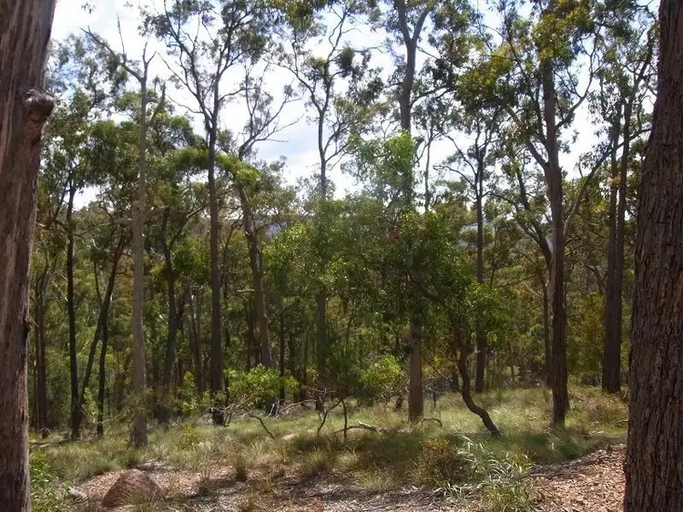 Fifth view of Homely rural property listing, L417 Lyrebird Lane, Millingandi NSW 2549