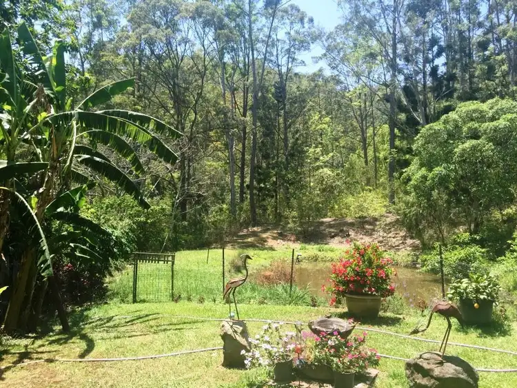 Second view of Homely rural property listing, 159 Ratcliffe Road, Diamond Valley QLD 4553