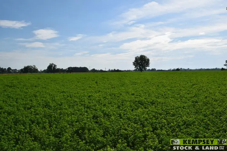 Third view of Homely rural property listing, L1 Euroka Road, Euroka NSW 2440