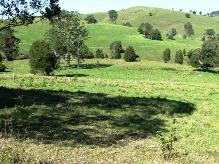 Fifth view of Homely rural property listing, 730 Bunyah Road, Bunyah NSW 2429
