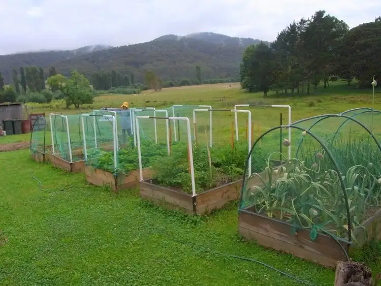 Fifth view of Homely rural property listing, 15-17 Towamba Street, Towamba NSW 2550