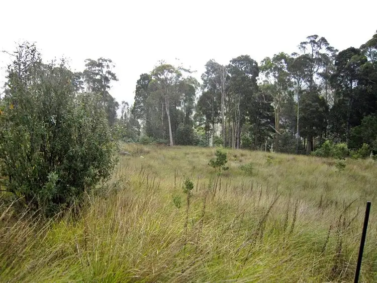Fourth view of Homely land listing, 594 Spellmans Road, Wilmot TAS 7310