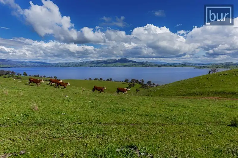 Main view of Homely rural property listing, 112 Hore Rd, Bowna NSW 2644