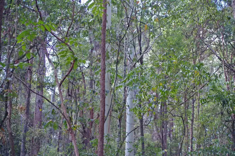 Seventh view of Homely land listing, Address available on request