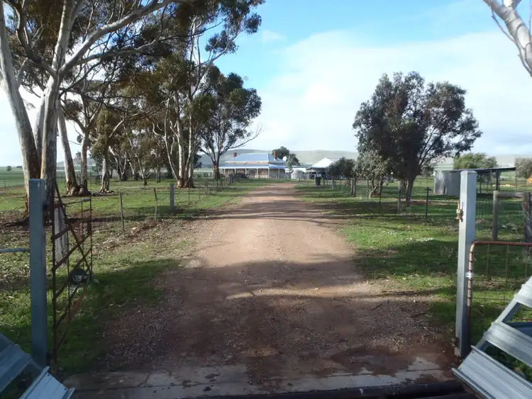 Main view of Homely house listing, 37 Bonds Road, Gladstone SA 5473