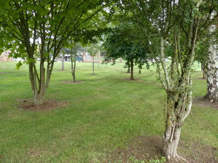 Sixth view of Homely land listing, 19 Beefeater Street, Deloraine TAS 7304