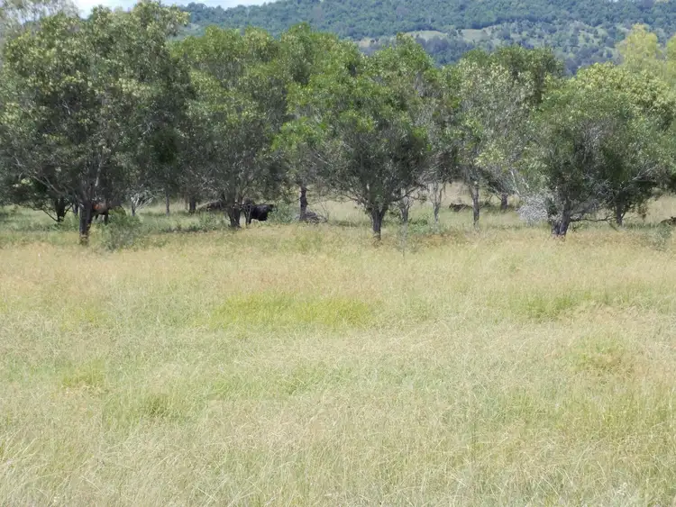 Seventh view of Homely land listing, 453 Tallegalla Road, Tallegalla QLD 4340