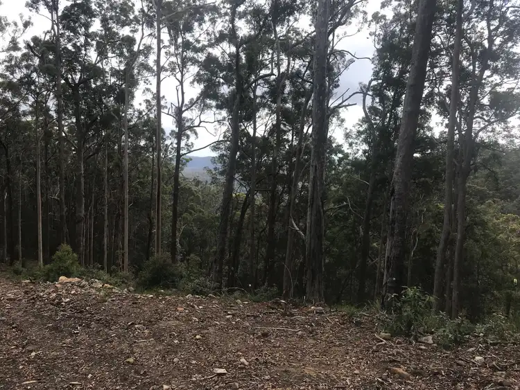 Fifth view of Homely land listing, Lot 3, 106 Wongawallen Road, Tamborine Mountain QLD 4272