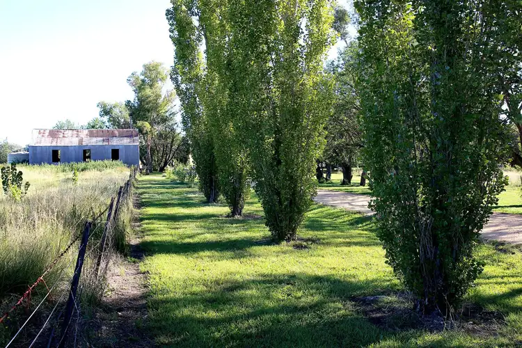 Third view of Homely rural property listing, Address available on request