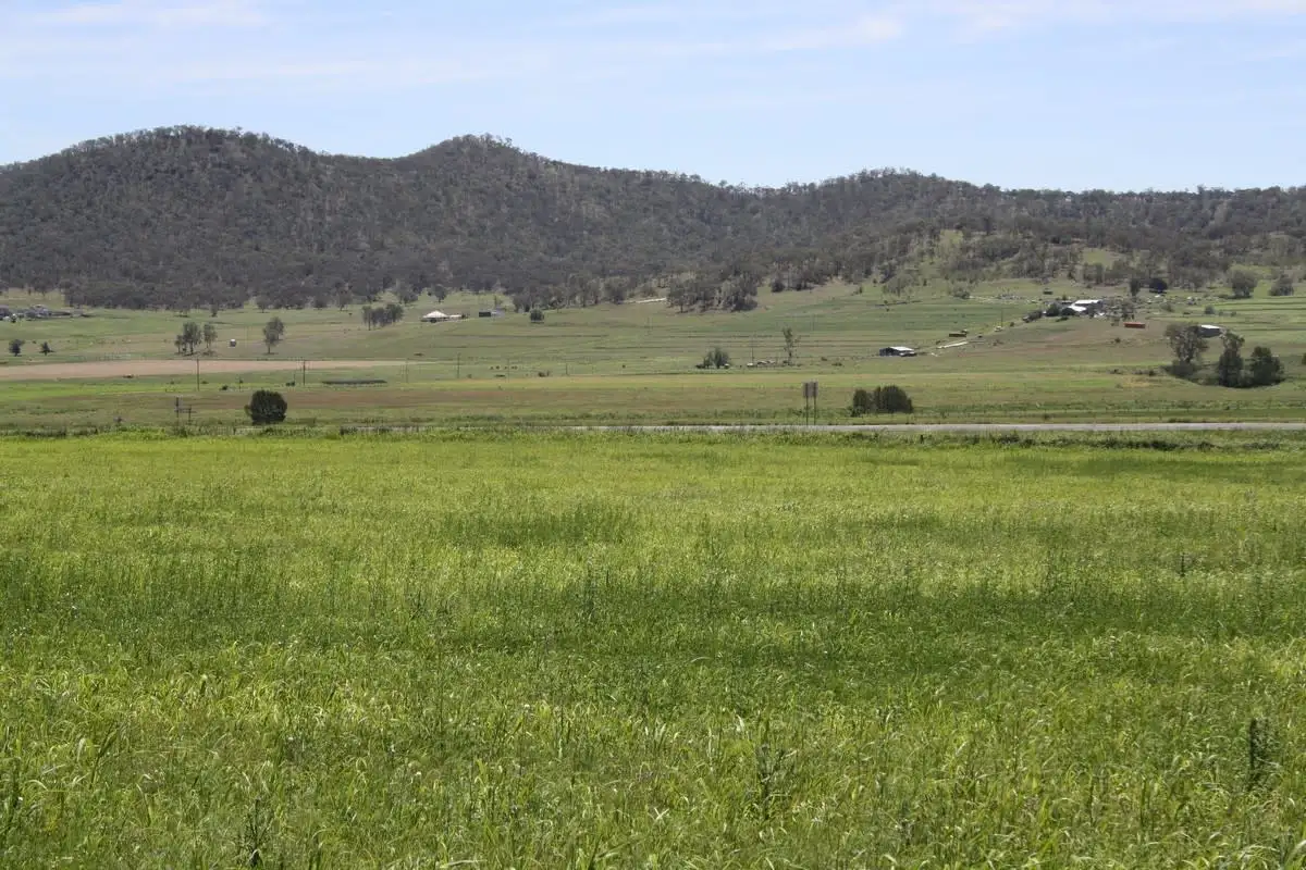 Main view of Homely land listing, Lot 6 Gladfield Back Rd, Gladfield QLD 4370