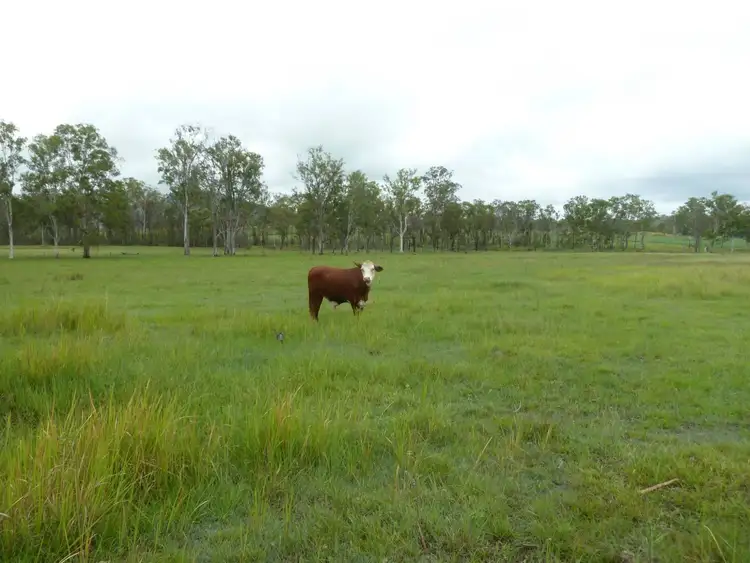 Fourth view of Homely rural property listing, 5608 Bruce Highway, Tiaro QLD 4650