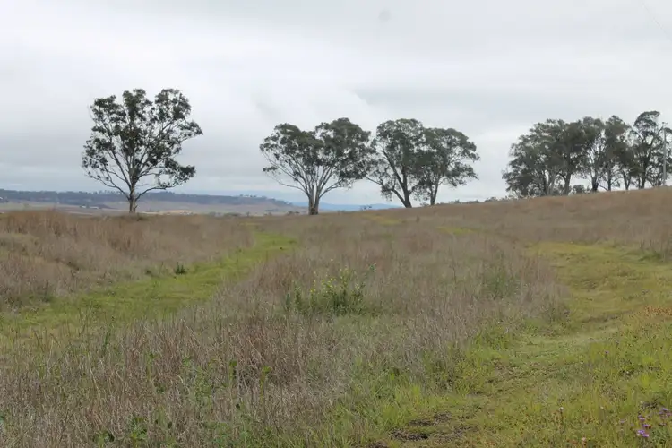 Third view of Homely land listing, 4 Ryans Road, Warwick QLD 4370