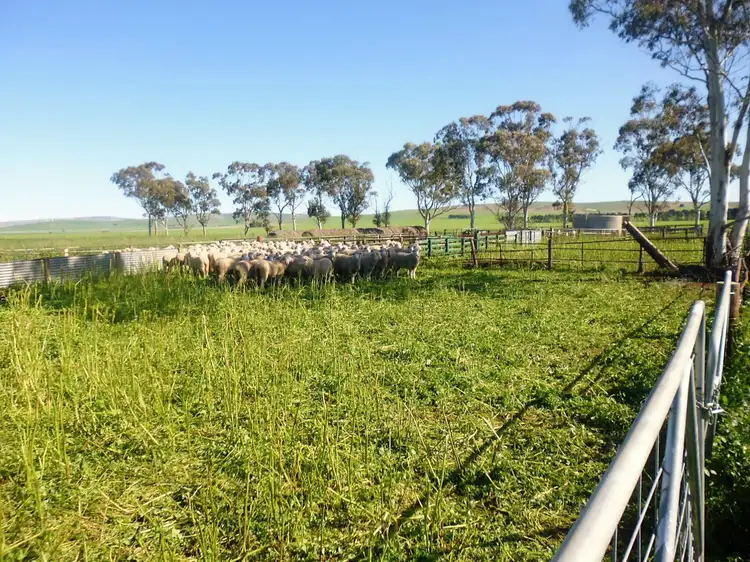 Fourth view of Homely land listing, Section 802 Gum Creek Road, Redhill SA 5521