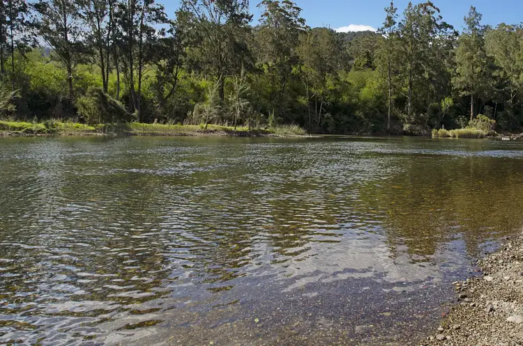 Fourth view of Homely rural property listing, 111 Boat Harbour Lane, Long Flat NSW 2446