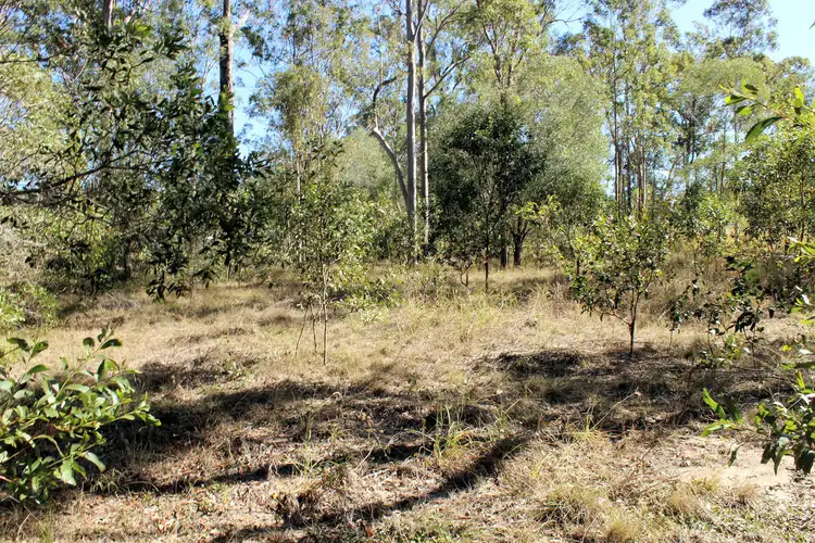 Sixth view of Homely land listing, 1193 Mungar Rd, Mungar QLD 4650