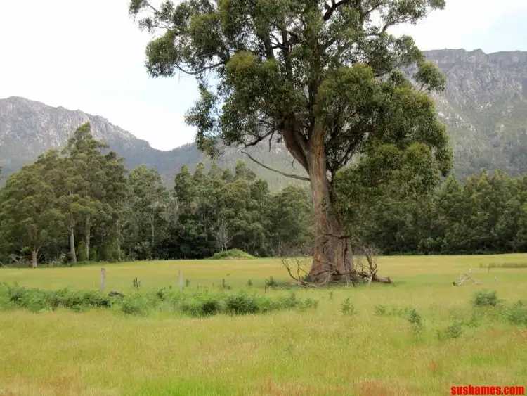 Sixth view of Homely rural property listing, Address available on request