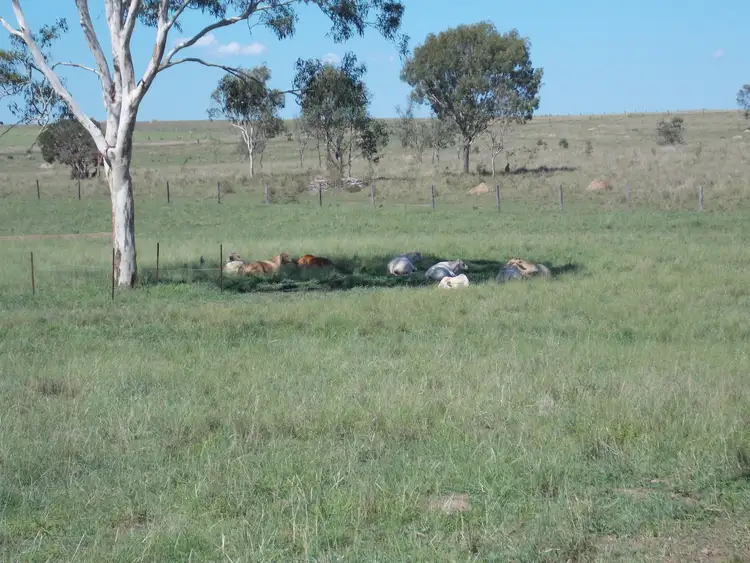 Seventh view of Homely rural property listing, 13 Ferling Rd, Calvert QLD 4340